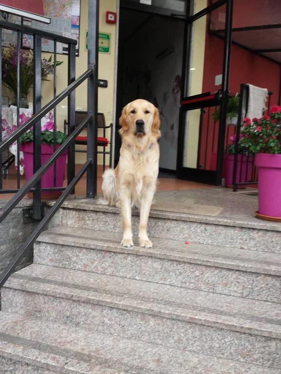 Hotel Renato Sesto San Giovanni Kültér fotó