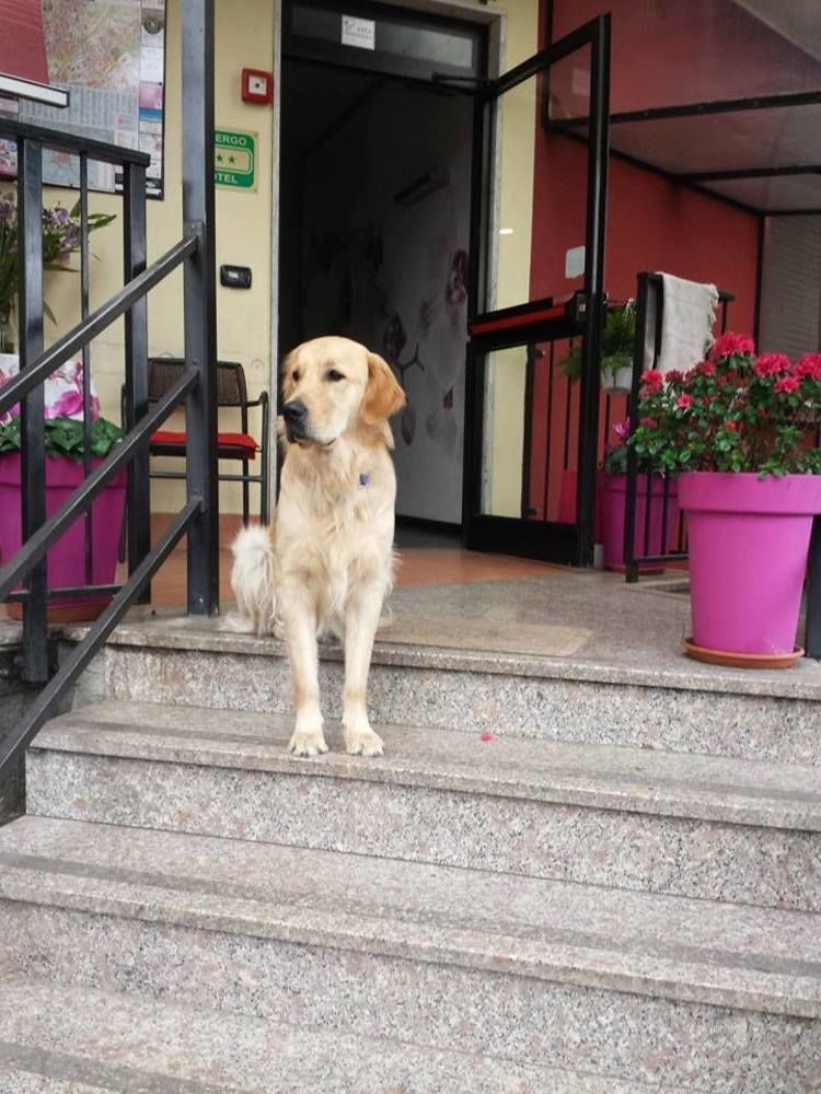 Hotel Renato Sesto San Giovanni Kültér fotó